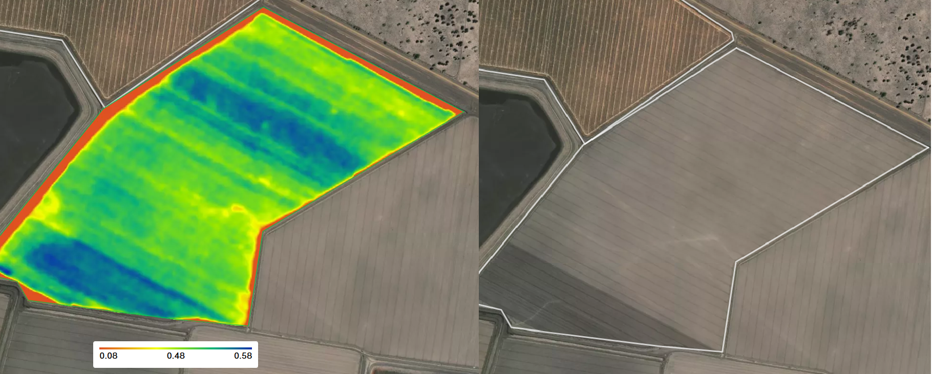 Example satellite and vigour imagery of a cotton field used to locate sampling points